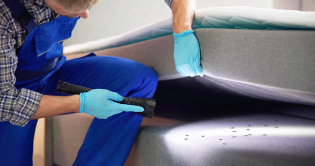 Reliable Glendale, OH Pest Control Solutions