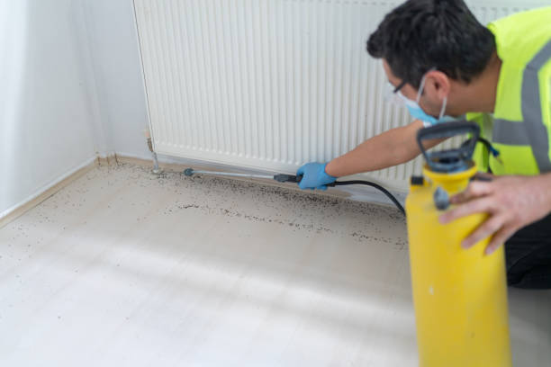 Best Exterminator Services  in Glendale, OH