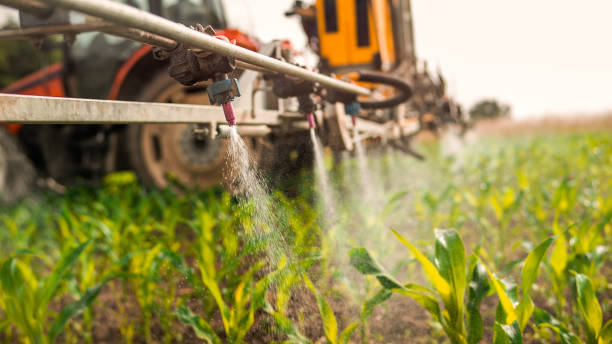 Best Mosquito Control Services  in Glendale, OH